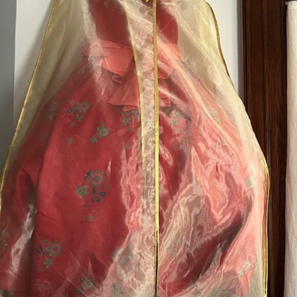 Princess Dress collab between Chasing Fireflies and Disney - Picture 12 of 12